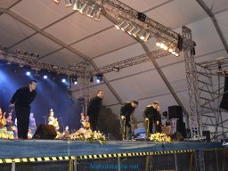 Festival de Folkore en Mula